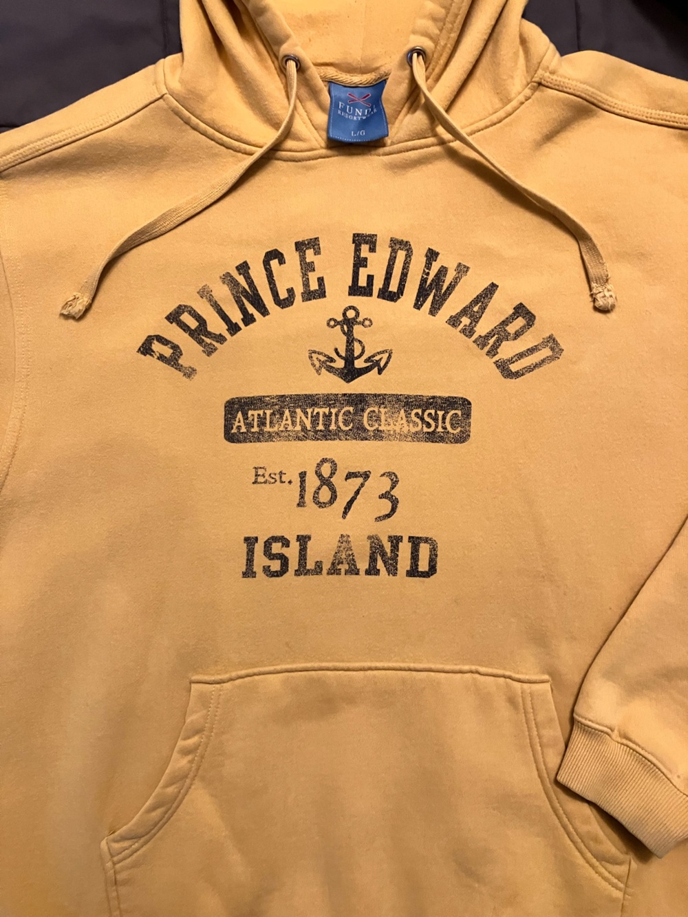 1990’s PEI Mud Dyed Graphic Hoodie